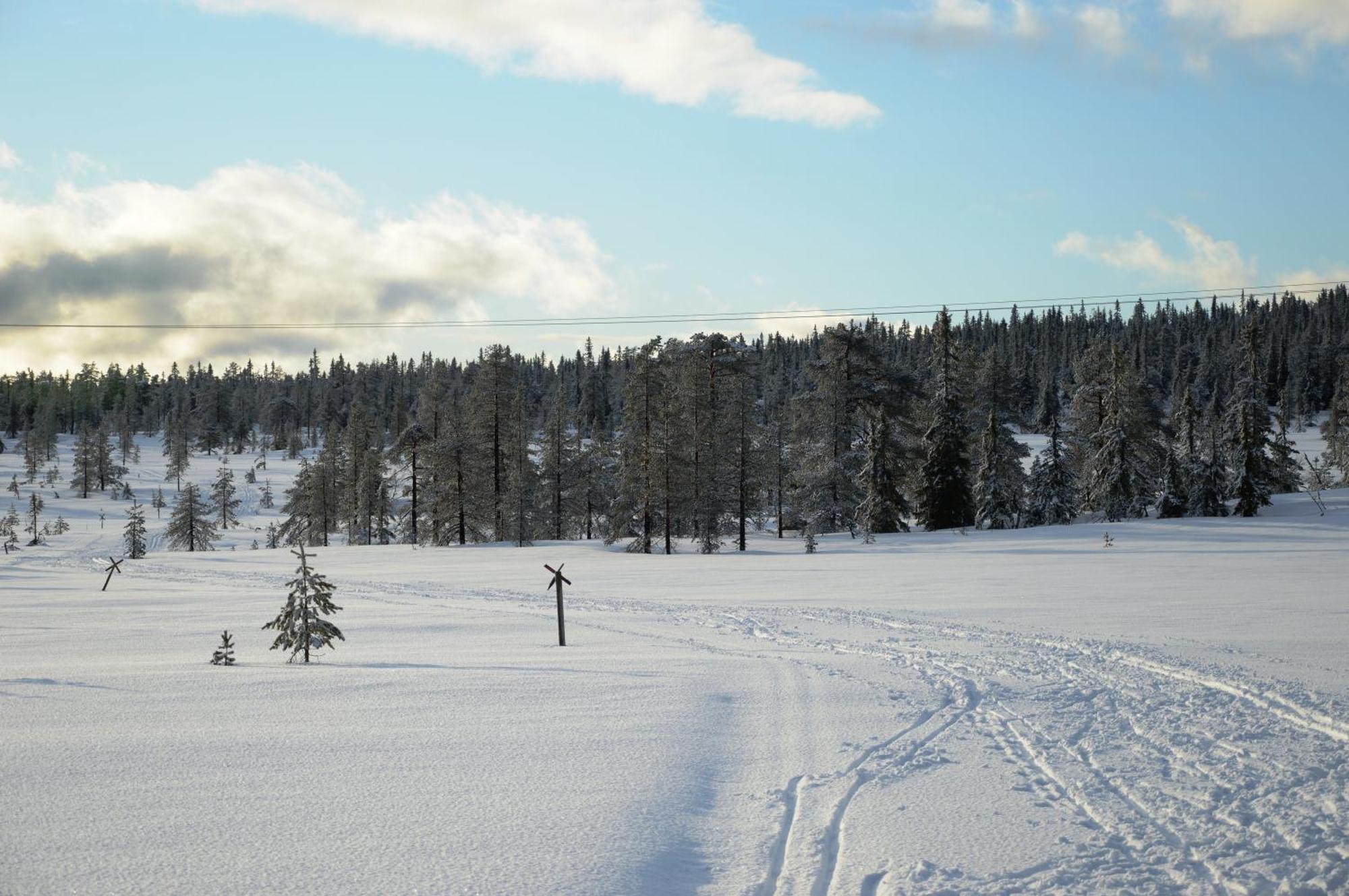 12 - Fulufjellets Nasjonalparker - Natur-, Dyre- Og Fugleopplevelser Ljørdal Exterior foto