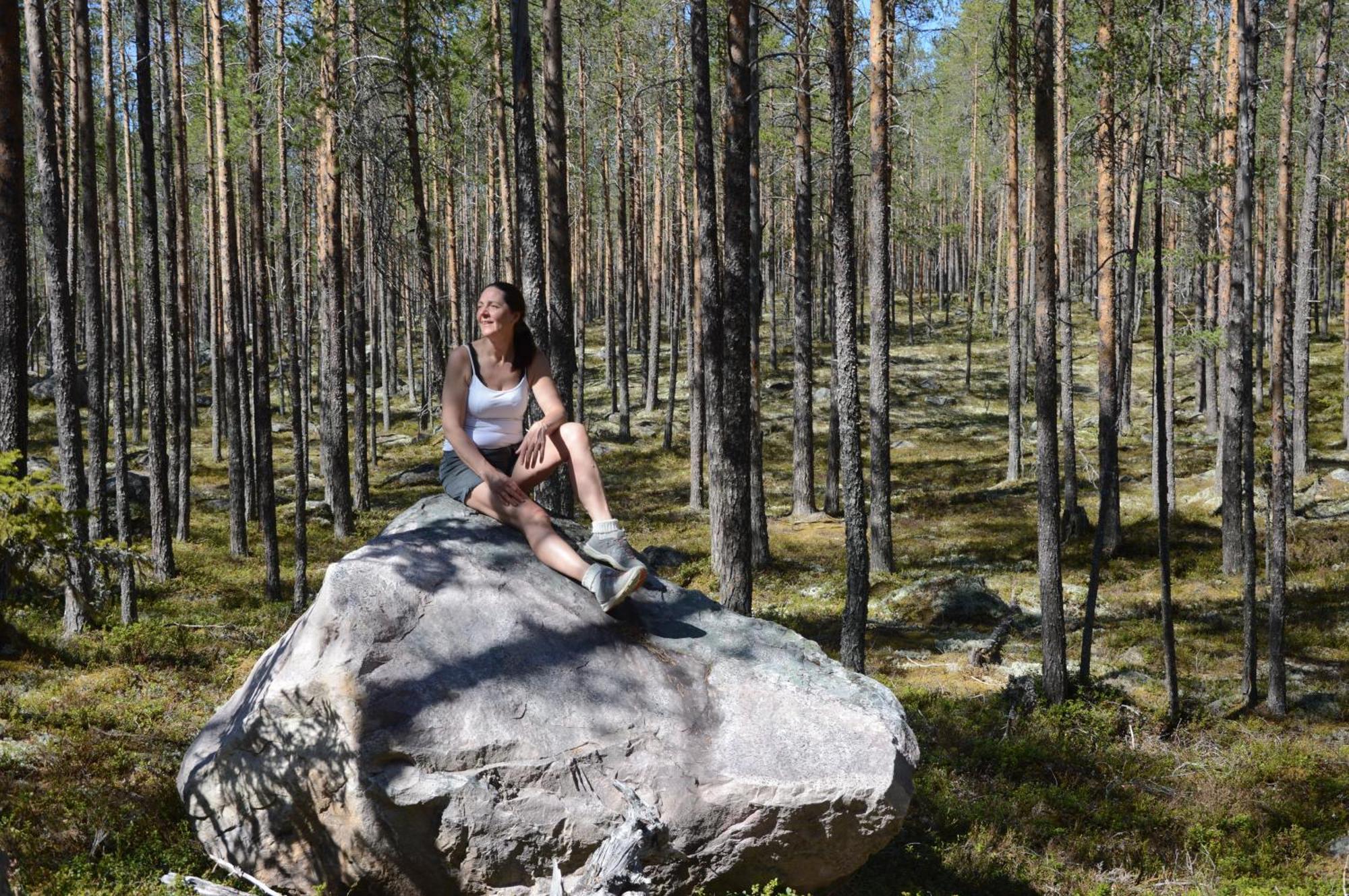 12 - Fulufjellets Nasjonalparker - Natur-, Dyre- Og Fugleopplevelser Ljørdal Exterior foto