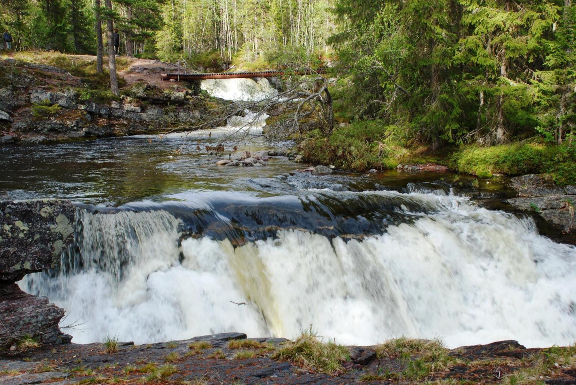 12 - Fulufjellets Nasjonalparker - Natur-, Dyre- Og Fugleopplevelser Ljørdal Exterior foto