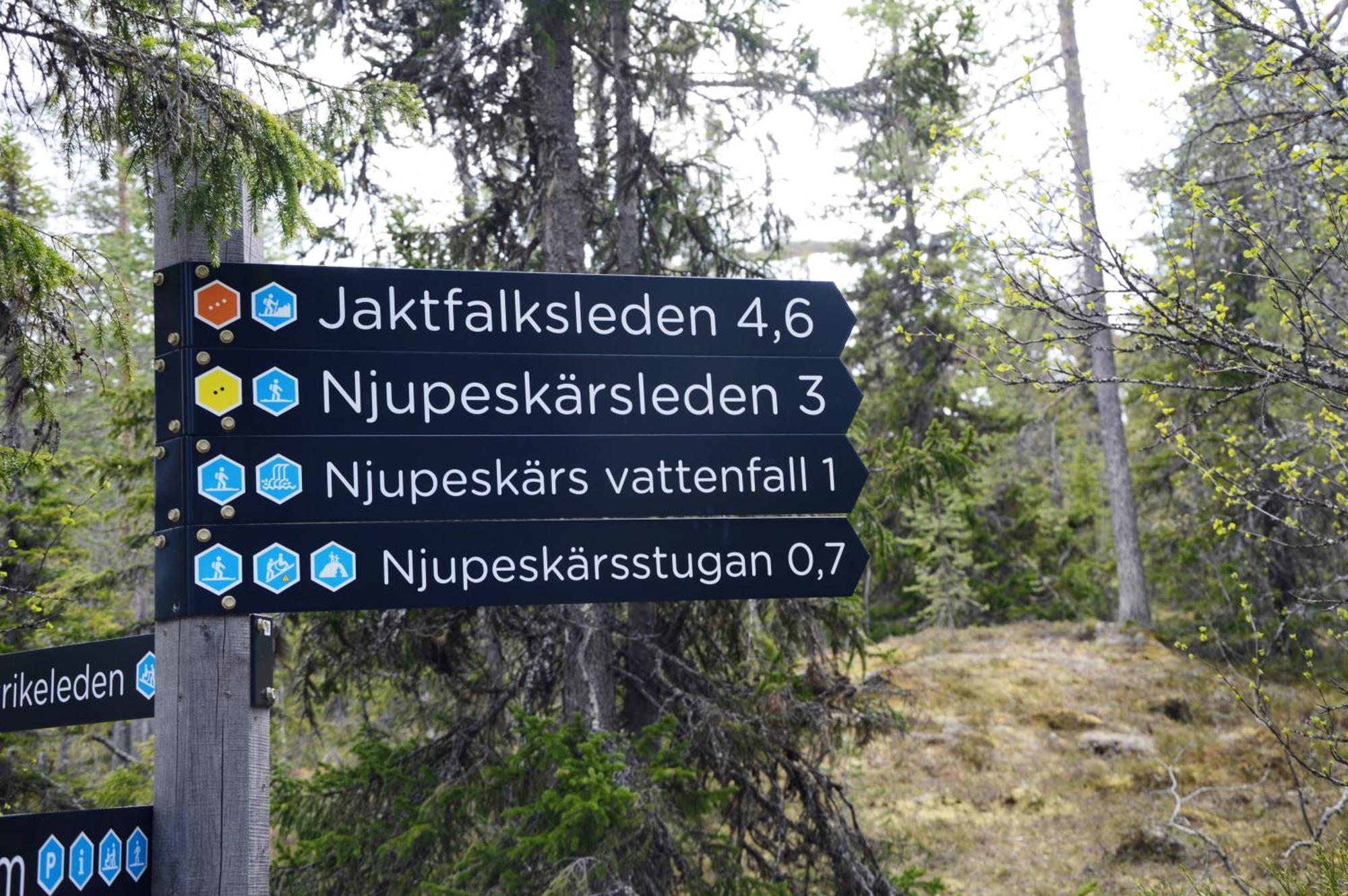 12 - Fulufjellets Nasjonalparker - Natur-, Dyre- Og Fugleopplevelser Ljørdal Exterior foto